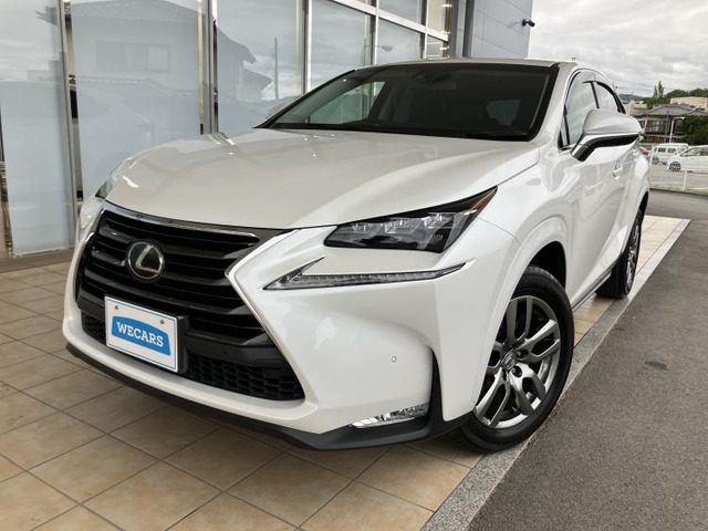 NX200t バージョンL