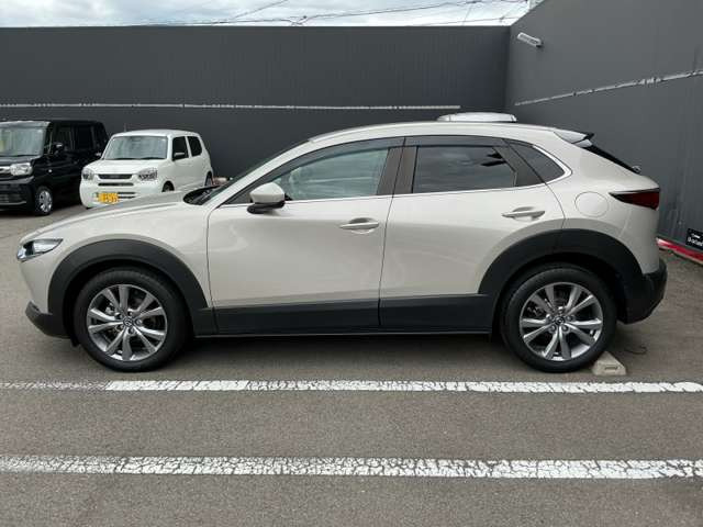 CX-302.0 20S