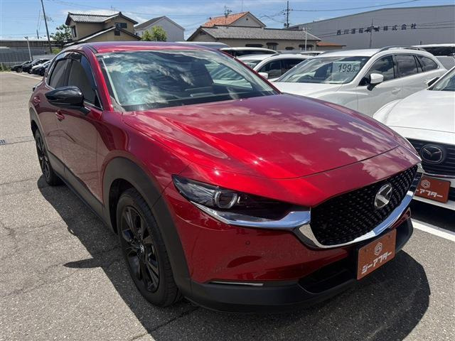 CX-301.8 XD ブラックトーンエディション 4WD