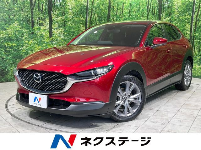 CX-302.0 20S