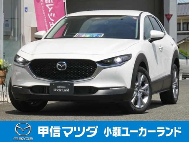 CX-302.0 20S プロアクティブ