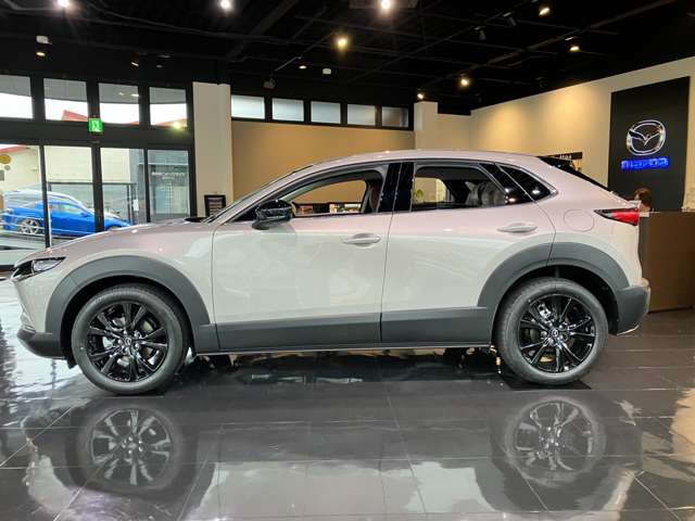 CX-302.0 20S レトロスポーツエディション