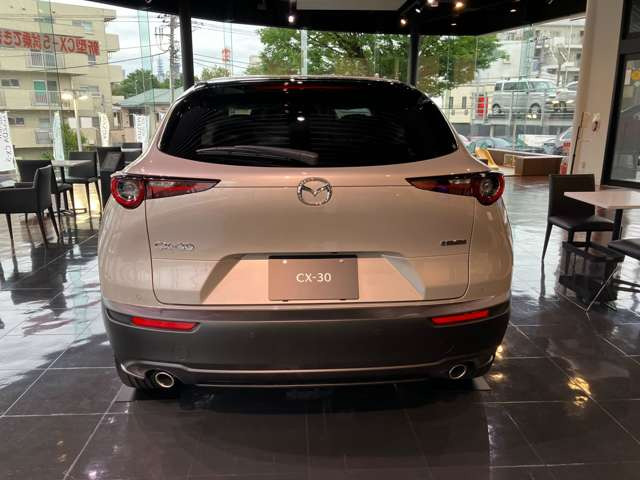 CX-302.0 20S レトロスポーツエディション