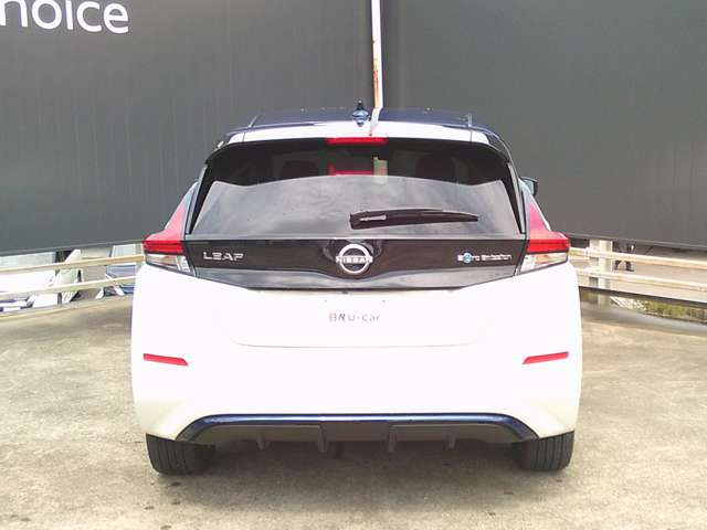 リーフe+ G