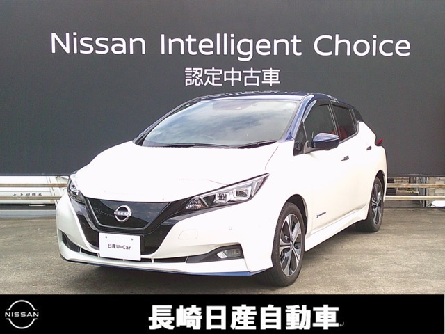 リーフe+ G