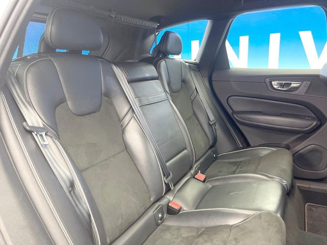 ���㕔���Ȃ��C�ɂȂ�悤�ȃL�Y�E�����ւ��蓙�A�傫�ȃ_���[�W�͂Ȃ��A�ǍD�ȏ�Ԃł��B