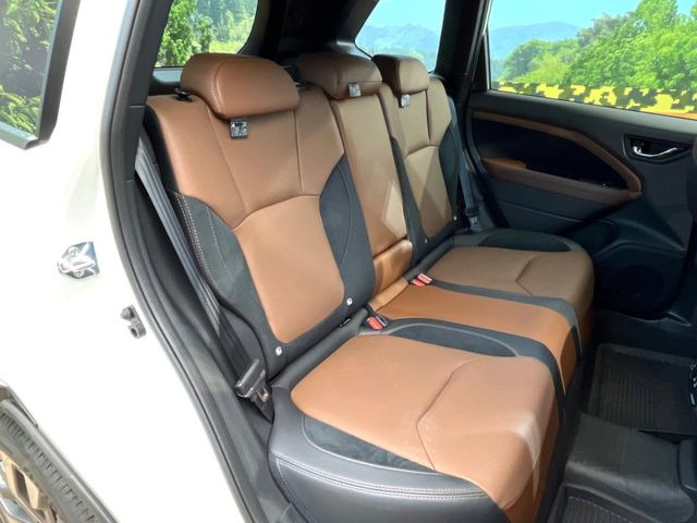 �㕔���Ȃ��C�ɂȂ�悤�ȃL�Y�E�����ւ��蓙�A�傫�ȃ_���[�W�͂Ȃ��A�ǍD�ȏ�Ԃł��B