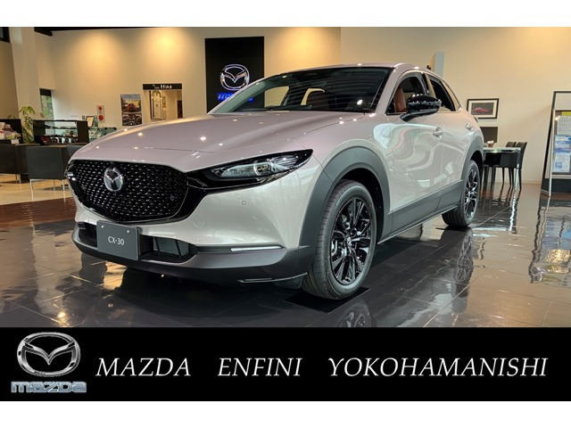 CX-302.0 20S レトロスポーツエディション