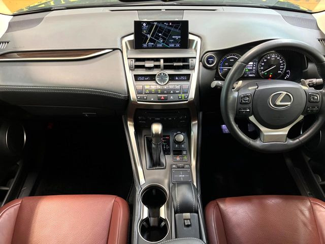 NX300h バージョンL