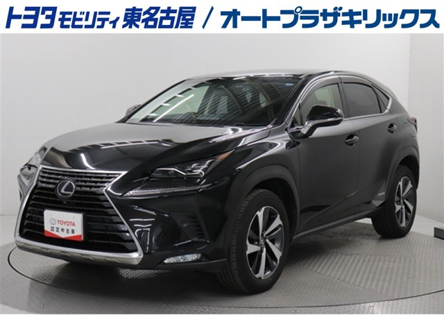 NX300h Iパッケージ