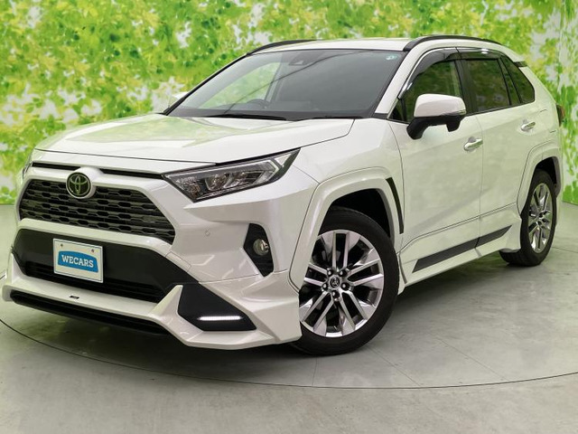 RAV42.0 G Zパッケージ 4WD