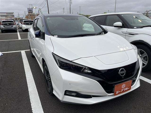 リーフe+ G