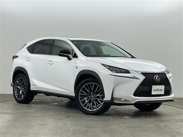 NX300h Fスポーツ