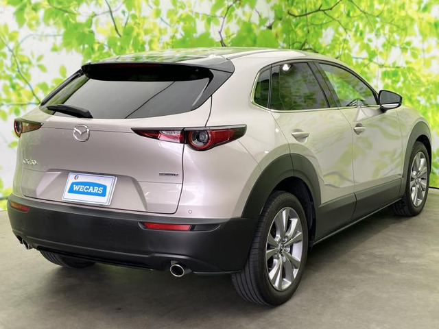 CX-301.8 XD Lパッケージ