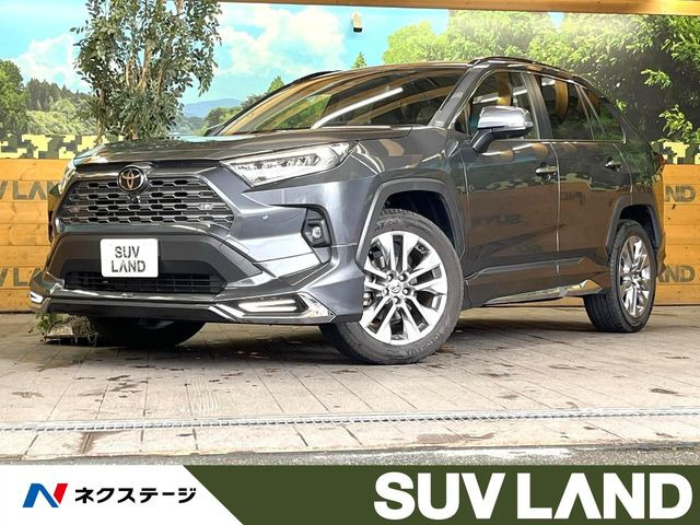 RAV42.0 G Zパッケージ 4WD