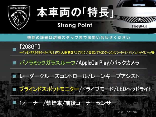 208GTライン