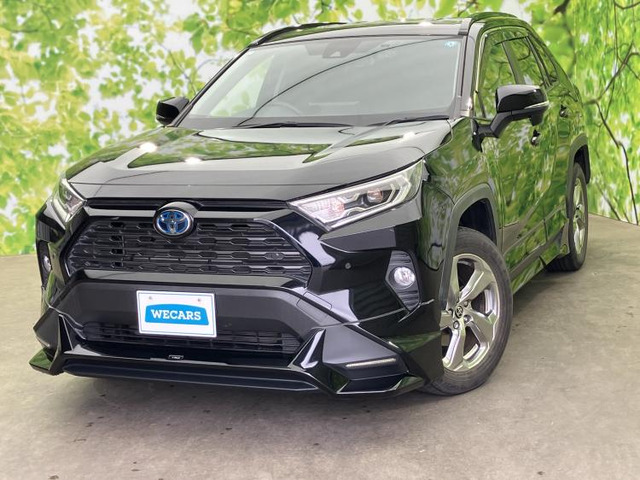 RAV42.5 ハイブリッド X