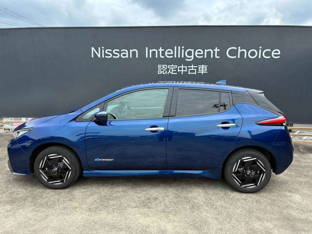 リーフe+ X