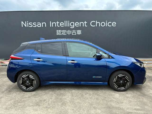 リーフe+ X