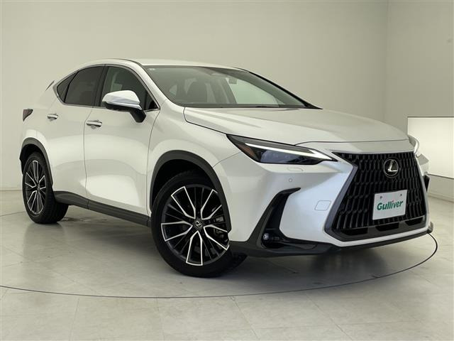 NX350h バージョンL