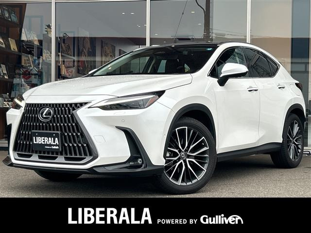 NX350h バージョンL