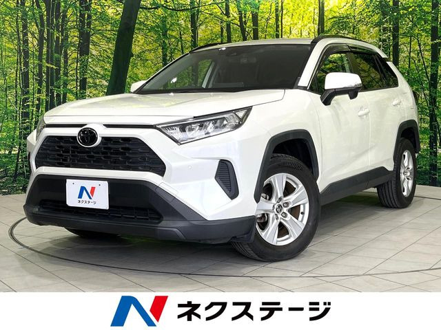 RAV42.0 X