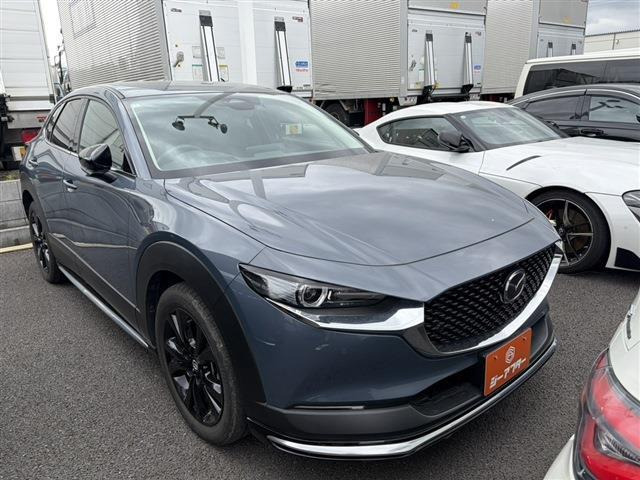 CX-301.8 XD ブラックトーンエディション