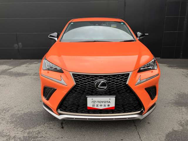 NX300 Fスポーツ 4WD