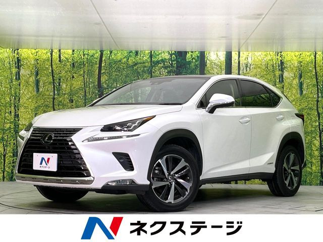 NX300h Iパッケージ