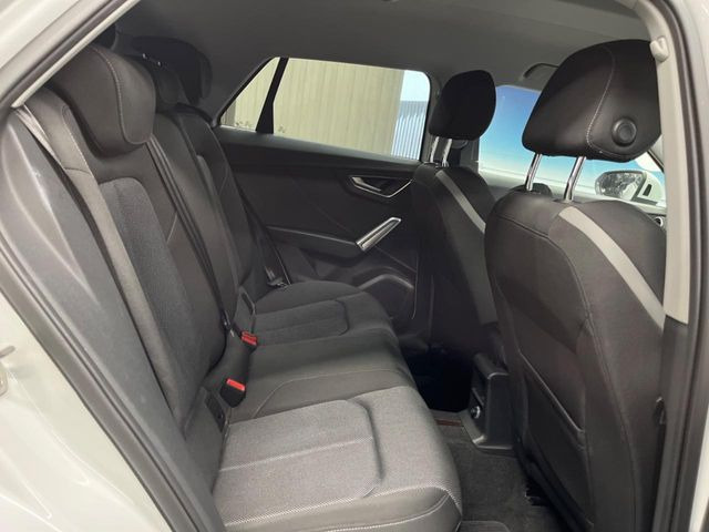 ���㕔���Ȃ��C�ɂȂ�悤�ȃL�Y�E�����ւ��蓙�A�傫�ȃ_���[�W�͂Ȃ��A�ǍD�ȏ�Ԃł��B