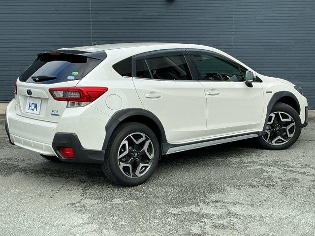 XV