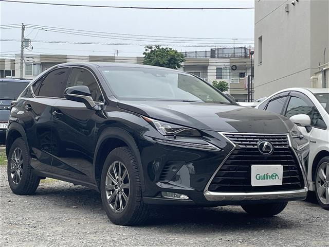 NX300h Iパッケージ