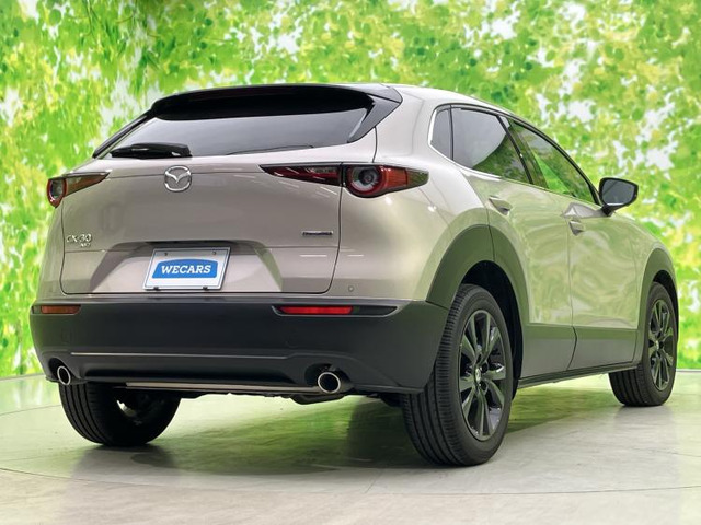 CX-301.8 XD レトロスポーツエディション 4WD