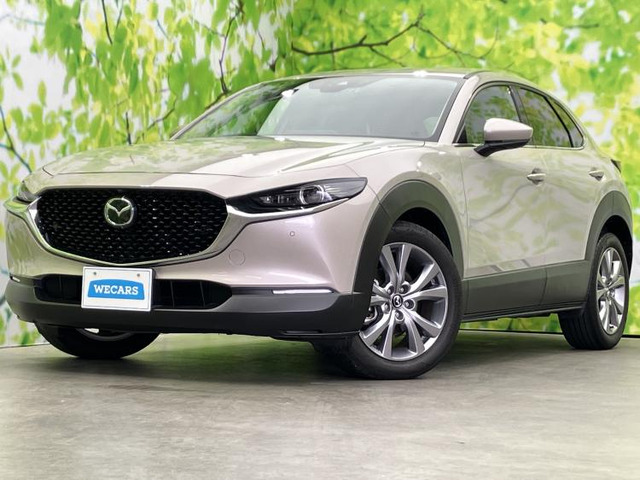 CX-301.8 XD Lパッケージ