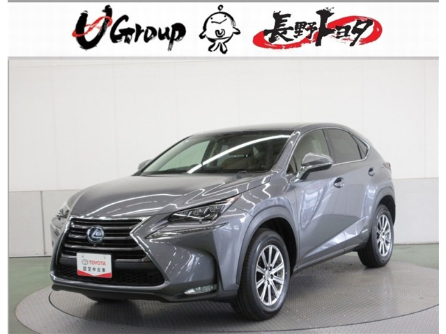 NX300h Iパッケージ