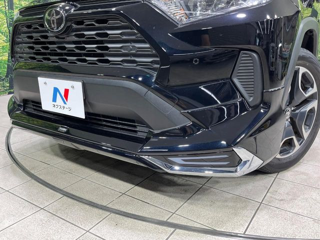 RAV42.0 X