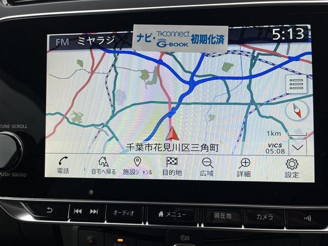 リーフe+ G