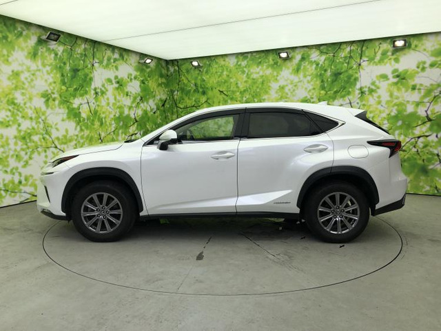 NX300h Iパッケージ