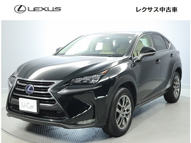 NX300h Iパッケージ