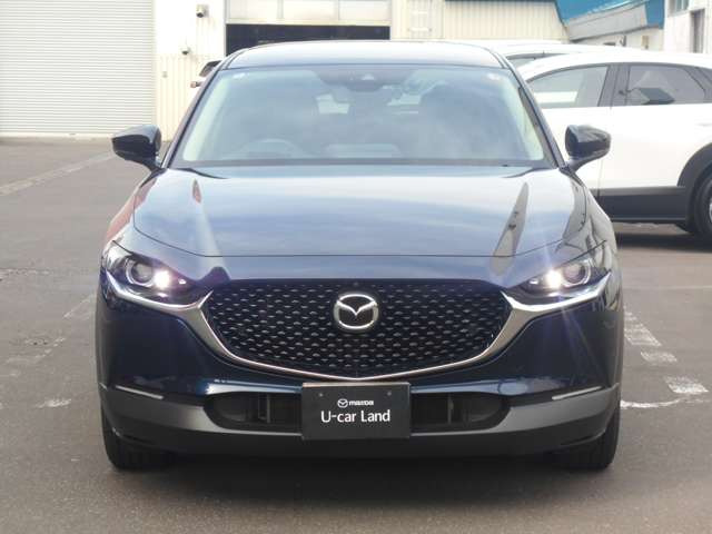 CX-30