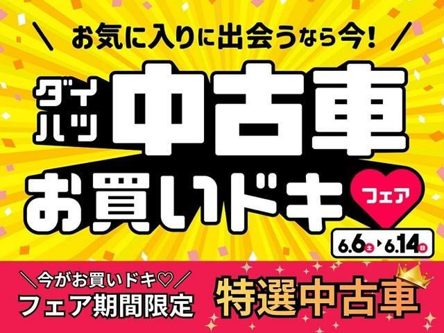 キャストアクティバ G SAII