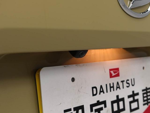 タフトG