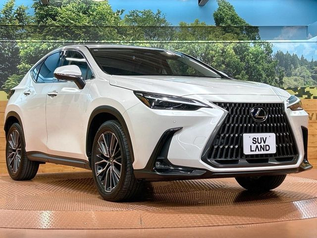 �������x�̃K���X�疌�ŝ����͂������A�㎿�ȃc���E����������B���O����_���J�����؂Ȉ��Ԃ�ی삵�A�F�����E�򉻂�h�~�B�u�e�X�v���b�V���R�[�g�v�A�u�e�v���~�b�T�R�[�g�v���炨�I�т��������܂��B