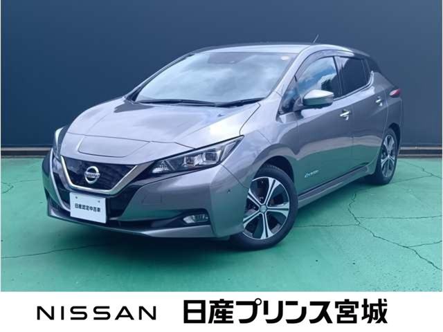 リーフG