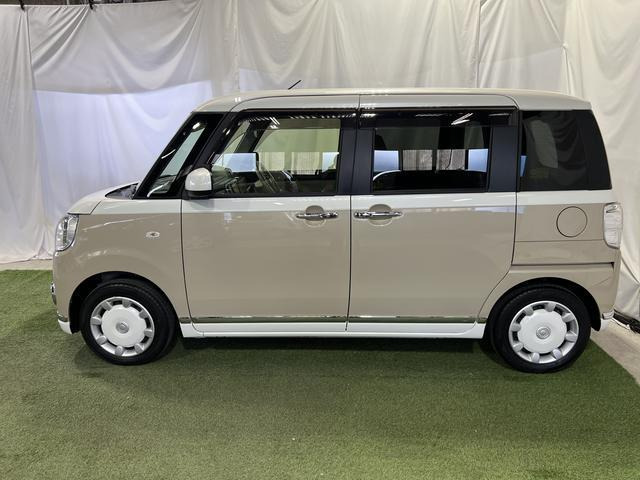 ムーヴキャンバスG メイクアップ SAIII
