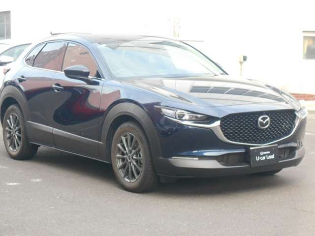 CX-30