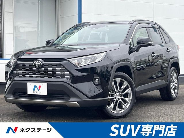 RAV42.0 G Zパッケージ 4WD