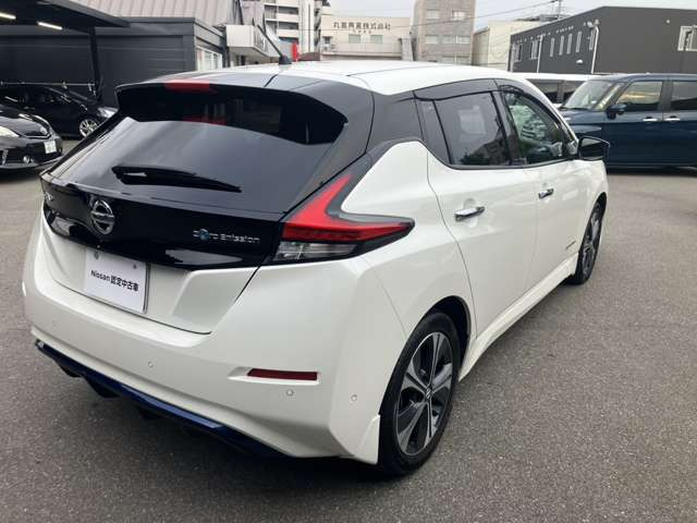 リーフe+ G