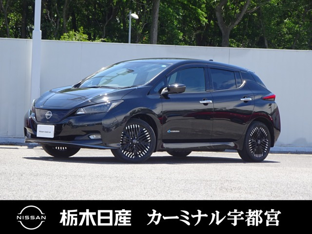 リーフe+ G
