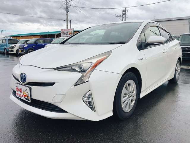 �y39.8���X�J�[�Y�̎��q���������������A���ɂ��肪�Ƃ��������܂��B���������q�s�Ö�368-1